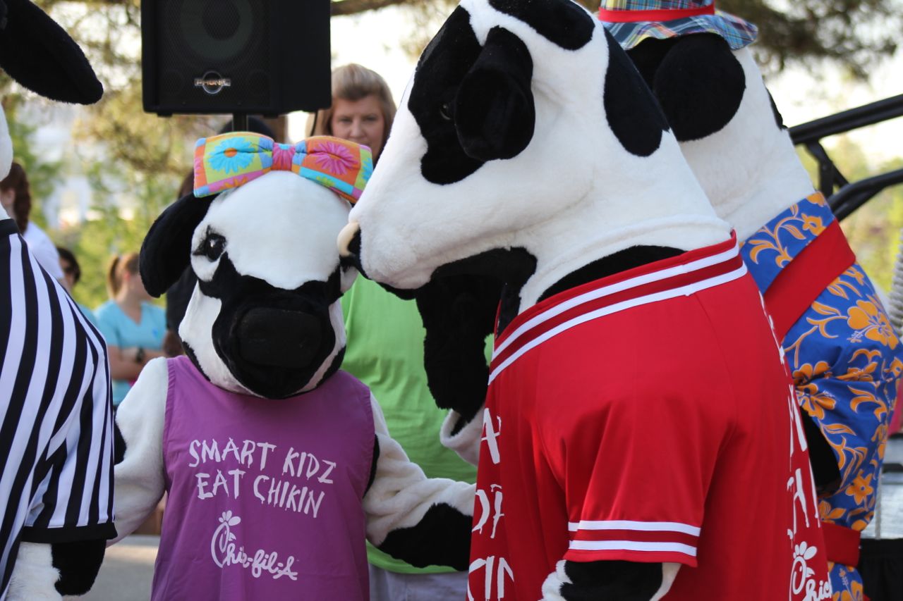 Chick-fil-a Cow